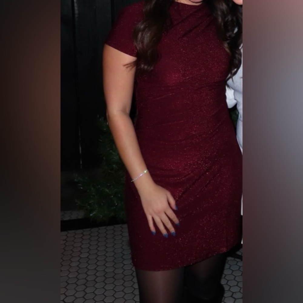 Elegant Burgundy Dress